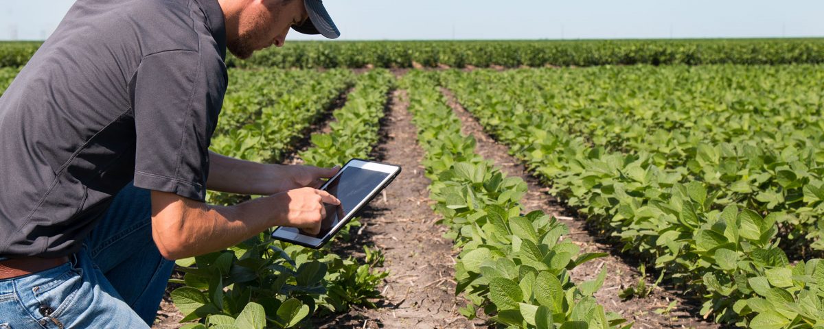 ventajas-internet-agropecuario