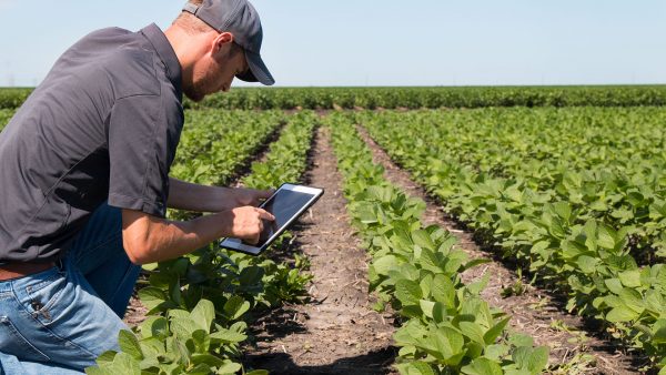 ventajas-internet-agropecuario