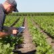 ventajas-internet-agropecuario