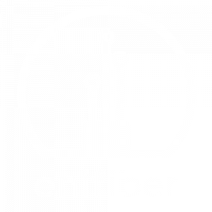 LOGO-ENIFIBER-BLANCO