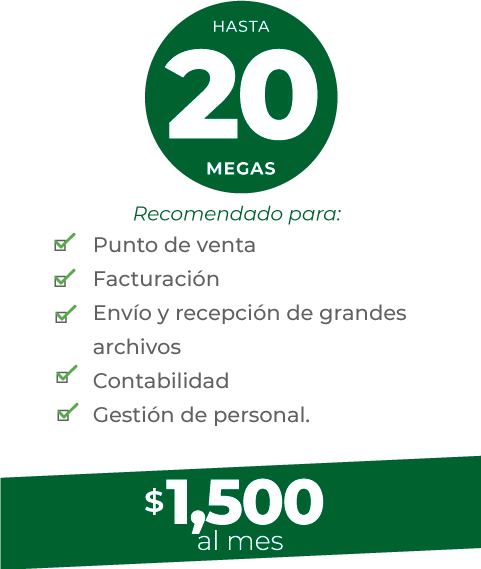 plan-20-completo plan-20-completo