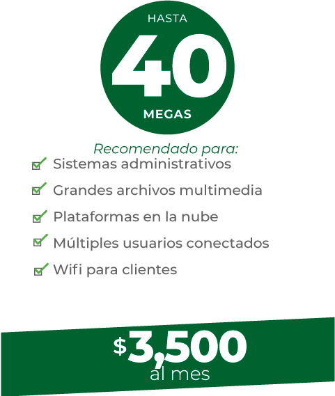 plan-40-completo plan-40-completo