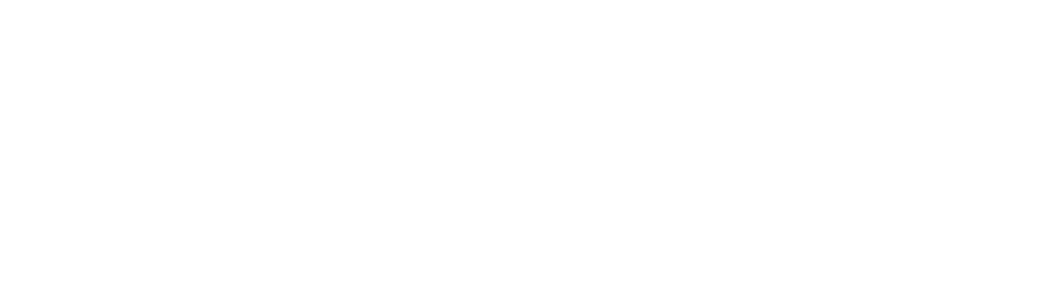 Fortinet Authorized Partner